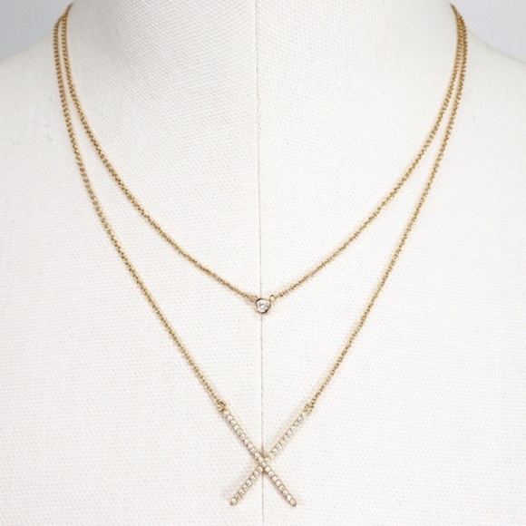 Wantable Jewelry - NWT W. by Wantable Double Layer Gold X Necklace